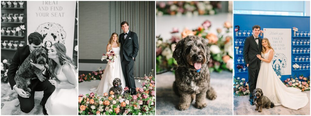 Bride and groom kneel in their wedding attire dog sits between them, along with some classic portraits on the newlywed's day with their dog